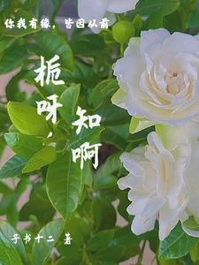 栀子花什么时间开花